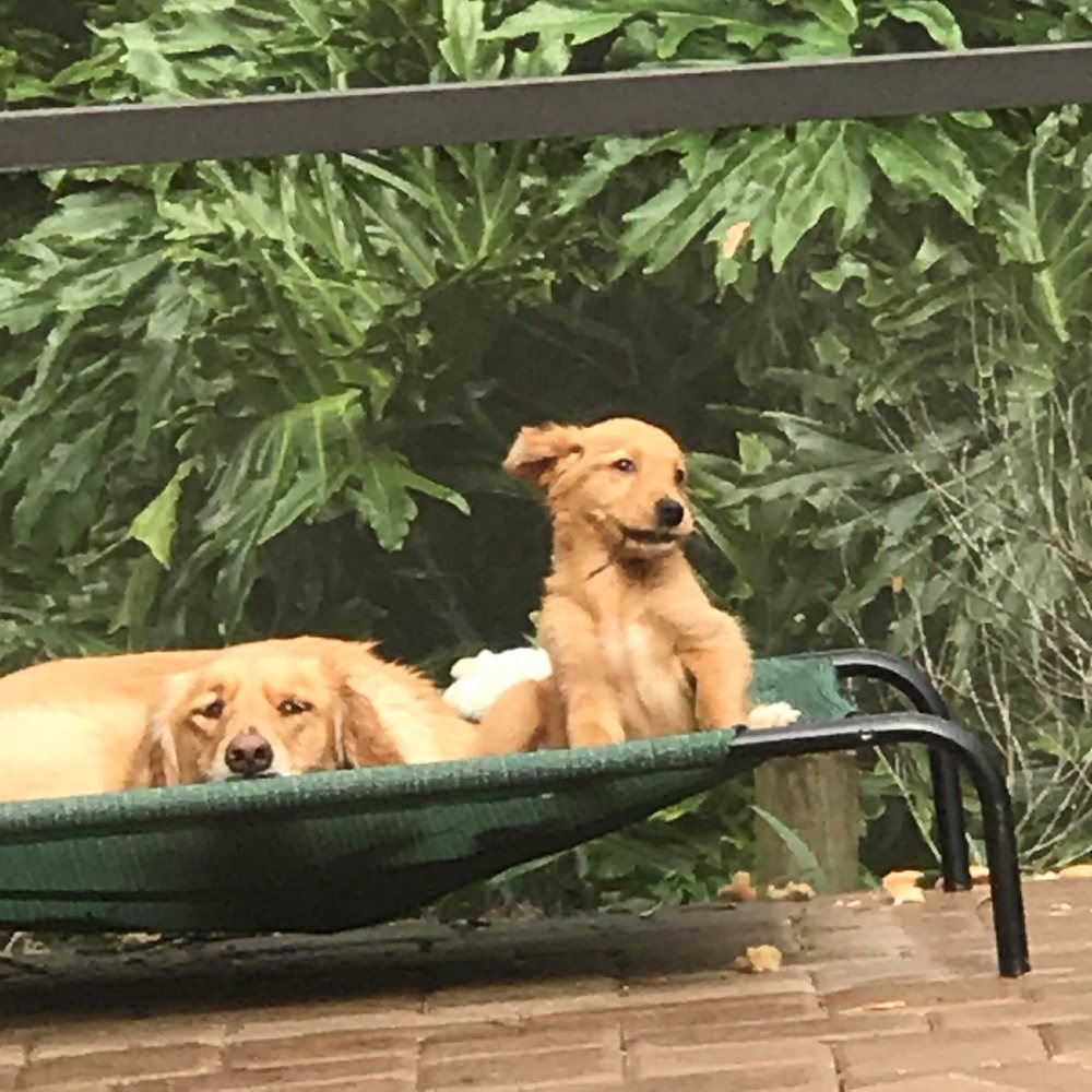 Meet your Posher, Kathie